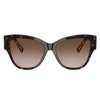 Dolce & Gabbana DG 4449 321713 Womens Butterfly Sunglasses Havana on White Barrow 54mm - 2 of 3