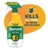 Spruce Weed and Grass Killer Trigger Spray 24oz - image 3 of 4