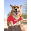 NCAA Georgia Bulldogs Pets Mesh Jersey - 4 of 4