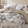 3Pcs Geometric Print Comforter Set, Premium Touch Contemporary Style All Season Bedding Set with Matching Shams - 3 of 4