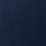 White | Navy Blue