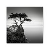 Trademark Fine Art -Dave MacVicar 'The Lone Cypress' Canvas Art - 2 of 3