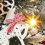 bell-shaped lightbox