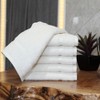 Linum Home Textiles 100% Turkish Cotton Denzi Washcloths (Set of 6) - 3 of 3