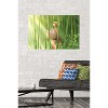 Trends International Fruits Basket - Kyo Soma Unframed Wall Poster Prints - 2 of 4