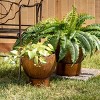 Sullivans 13.5" & 11" Burnished Gold Base Planters Set of 2, Metal - 3 of 3