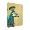 Trademark Fine Art - Katie O'Shea  Peacock Profile II Canvas Art - 4 of 4