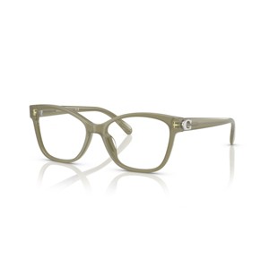 Coach HC6246U 53mm Female Butterfly Sunglasses - prescription-ready - 1 of 4