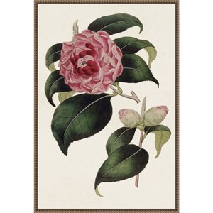 Amanti Art Pink Floral Mix III by Bette Ridgeway Framed Canvas Wall Art - 1 of 4