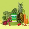 Amazing Grass Greens Blend Superfood Vegan Powder - Original - 8.5oz - image 4 of 4