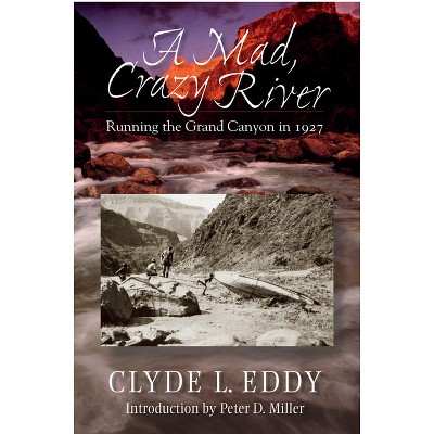 A Mad, Crazy River - by  Clyde L Eddy (Paperback)