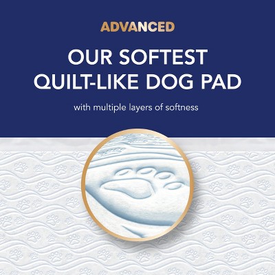 XL Quilted Dog Training Pads with Odor Control, 36" x 30"