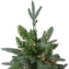 Northlight Real Touch™️ Pre-Lit Full Washington Frasier Fir Artificial Christmas Tree - 6.5' - Clear Lights - 3 of 4