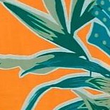paradise floral