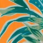 paradise floral