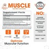 Genius Mass Gainer – Salted Caramel Natural Muscle Builder for Lean Weight Gain – Anabolic Support for Men & Women - 2 of 4