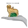 Old World Christmas Glass Blown Christmas Ornament For Christmas Tree, Golden Retriever - 4 of 4