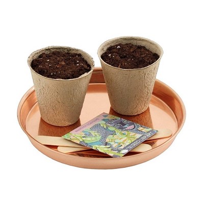 Set of 2 Round Copper-Plated Stainless Steel Trays