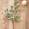 tag Mistletoe Spray Decorative Sculpture Green Plastic Christmas Botanical 9x2x29 Inches Dust Clean - 2 of 2
