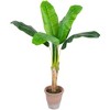 Northlight 4' Artificial Tropical Banana Tree in a Clay Pot - 3 of 4