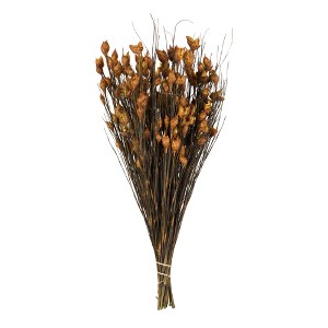 Vickerman 36"-40" Bell Grass with Seed Pods, Preserved - 1 of 4