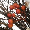 22" Artificial Autumn Wreath with Pinenuts, Gourds, Berries and Pinecones - National Tree Company - 3 of 4