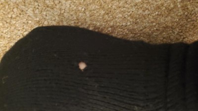 Guest review image 1 of 1, zoom in