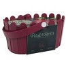Buzzy Seeds Petal and Stem Fresh Cut Flower Garden Seed Kit - 2 of 4