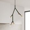 Dainolite Morgan 5 - Light Pendant in  Matte Black/Aged Brass - 3 of 3