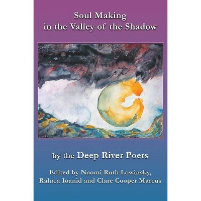 Soul Making in the Valley of the Shadow - by  Naomi Lowinsky & Raluca Ioanid & Clare Cooper Marcus (Paperback)