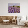 Stupell Industries Lavender Fields Farmland Canvas Art, 40" x 30" - 3 of 4