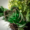 Sullivans Succulent 1/2 Orb Decorative Filler 4.5"H Green - 2 of 3