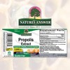 Nature's Answer AF Propolis, Immune Support Dietary Supplement, 1 oz - 2 of 3