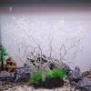 Unique Bargains Mini Faux Coral Reef Decor for Aquarium Decorations 13.19"x10.51" 1 Pc - 2 of 4