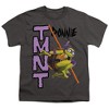 Teenage Mutant Ninja Turtles: Mutant Mayhem Donnie Character Kids T Shirt For Youth, Charcoal - 2 of 4