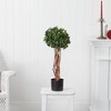 Nearly Natural 2.5-ft English Ivy Topiary UV Resistant (Indoor/Outdoor) - 4 of 4