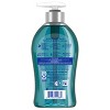 Softsoap Limited Edition Gel Hand Soap - Winter Bluebell - 11.25oz - 2 of 4