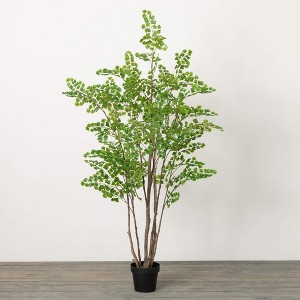 6'1"H Sullivans Towering Lace Fern Tree, Green - 1 of 4
