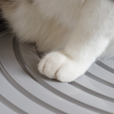 Modern Black and Gray Round Top Entry Cat Litter Box
