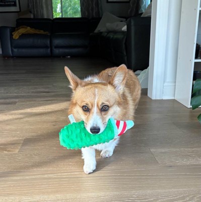 Guest review image 1 of 3, zoom in