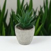 Unique Bargains Artificial Plants Mini Spotted Aloe-Vera in Pulp Plastic Green 2.76"x2.76"x4.33" 1 Pc - 2 of 4