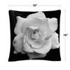 Kurt Shaffer - 16 x 16 Decorative Throw Pillow by Trademark Fine Art - 4 of 4
