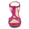 Allegra K Women's T Strap Open Toe Platform Stiletto Heel Sandals - 2 of 4