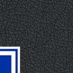 texas rangers 1981-1983