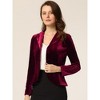 INSPIRE CHIC Women's Notched Lapel Long Sleeve Office Button Velvet Suit Blazer - 2 of 4