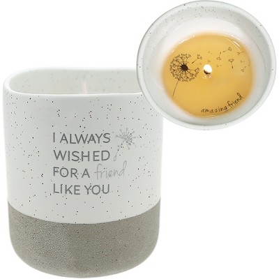 Pavilion Gift Company - Friend Like You - 10 oz - 100% Soy Wax Reveal Candle Scent: Tranquility - Flame Candles