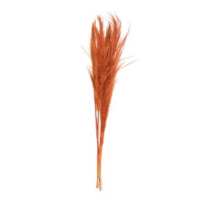Vickerman 46" Dried Pampas Grass - 1 of 1