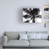 Trademark Fine Art -Debra Van Swearingen 'Palm Tree Looking Up Iii' Canvas Art - 2 of 4