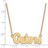 Black Bow Jewelry 14k Yellow Gold Florida Gators NCAA Necklace 18 Inch - 2 of 4