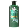 Herbal Essences Bio:renew Sulfate Free Shampoo for Scalp pH Balance with Eucalyptus & Potent Aloe - 13.5 fl oz - image 2 of 4